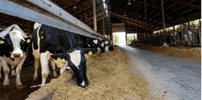 Equipos profesionales para agricultura